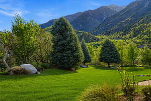 View of mountain background