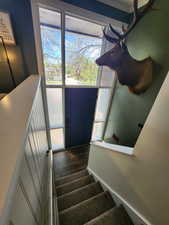 Staircase with wood finished floors