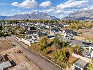 Aerial view of residential area with a mountain backdrop