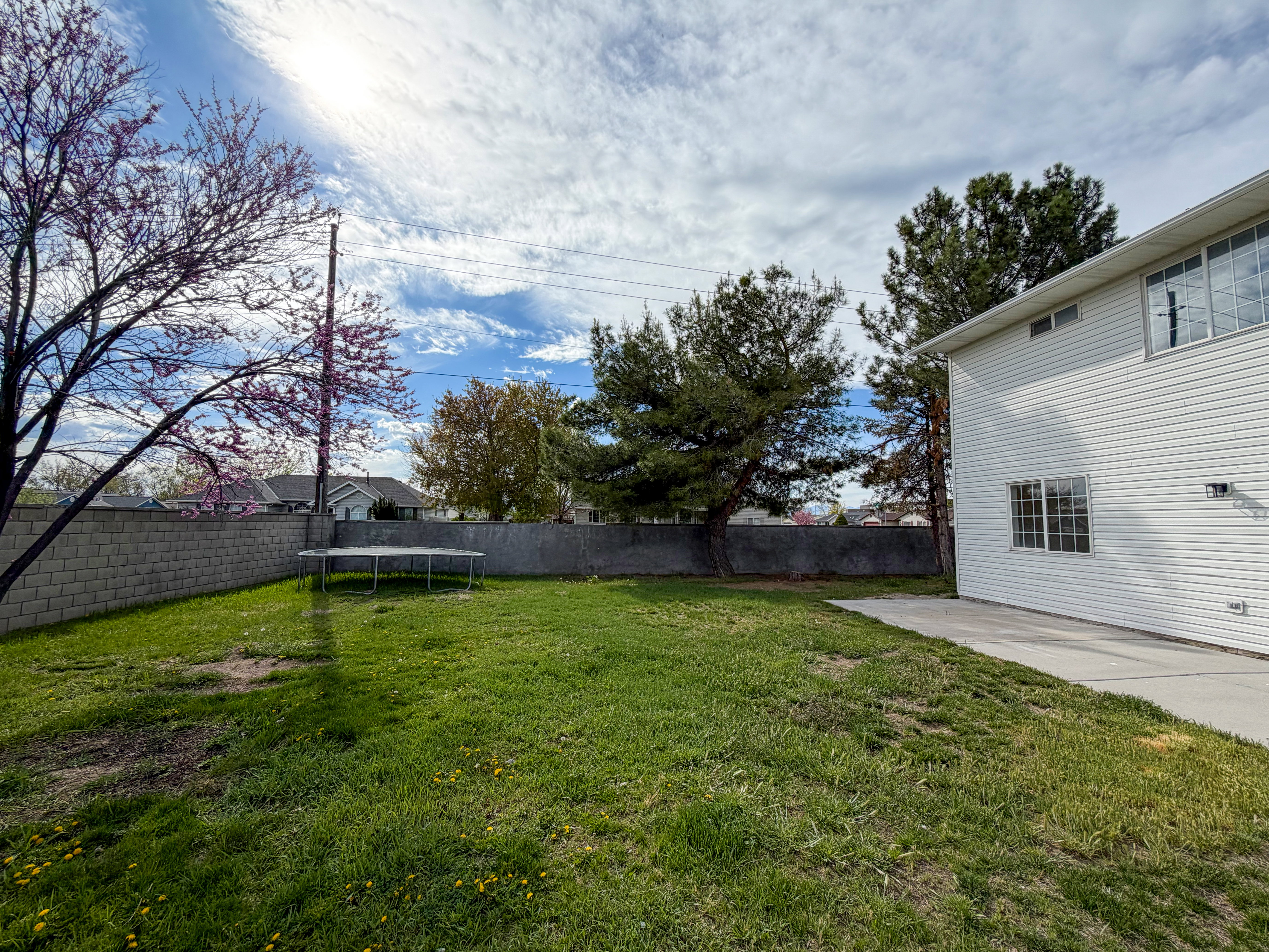 Fenced backyard with a patio and a trampoline