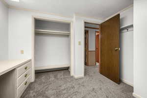 Unfurnished bedroom with light carpet, crown molding, and a closet