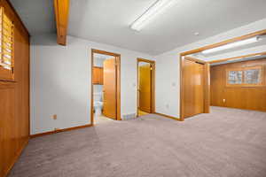 Below grade area with light carpet, wooden walls, and a textured ceiling