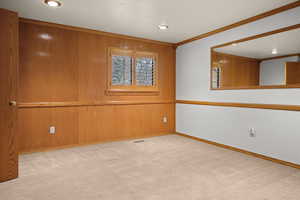 Empty room featuring wood walls, light carpet, and ornamental molding