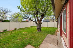 View of fenced backyard