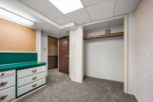 Unfurnished bedroom with a paneled ceiling, carpet flooring, and a closet