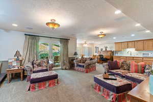 Basement Living area with walkout to the pool