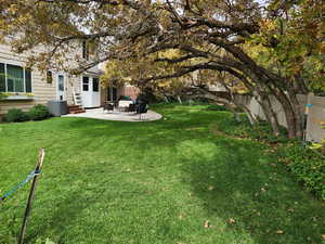 Fenced backyard with a patio and entry steps