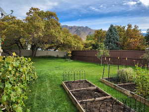 Fenced backyard featuring a vegetable garden and a mountain view