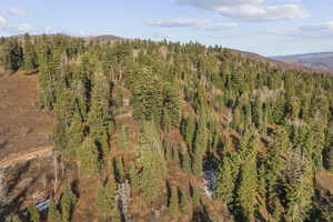 Drone / aerial view of a mountainous background