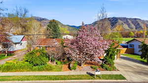 View of front of home with a mountain view and driveway