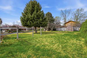 View of yard with a storage shed