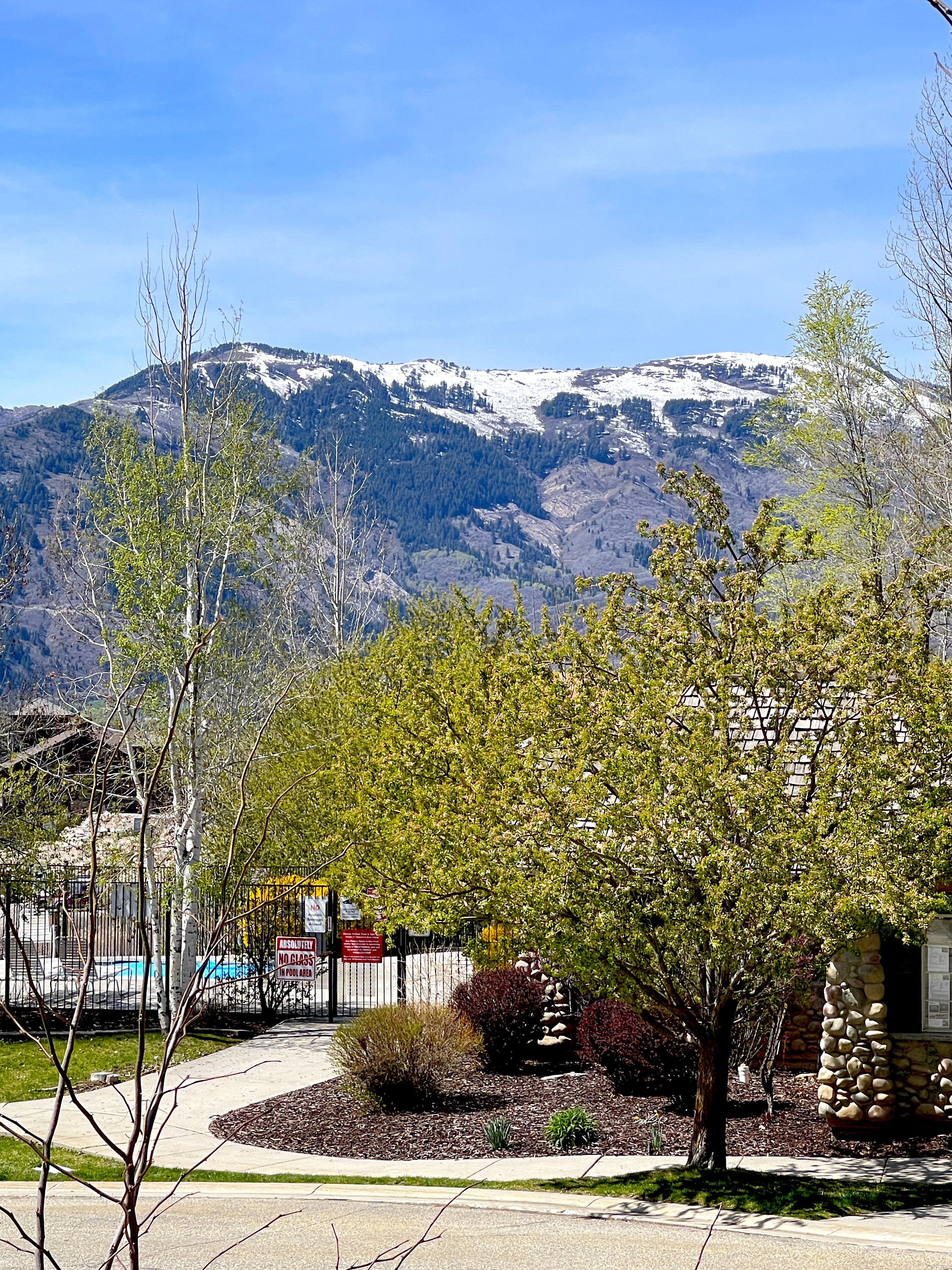 Mountain view