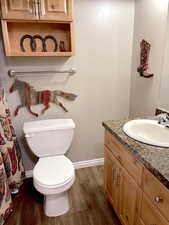 Bathroom featuring vanity, dark wood-style flooring, and a shower with curtain