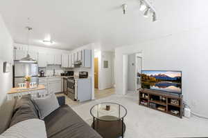 Living area featuring light colored carpet and track lighting