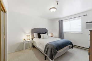 Bedroom with light carpet and a baseboard heating unit