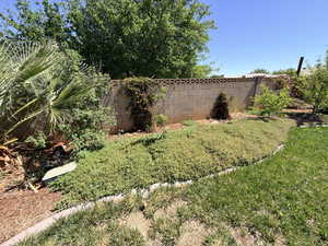 View of fenced backyard