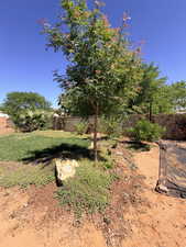 View of fenced backyard