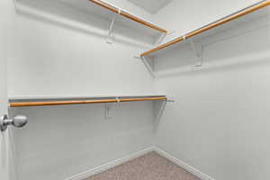 Walk in closet featuring light colored carpet