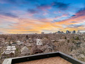 Balcony with a skyline view