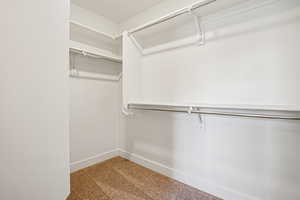 Walk in closet with carpet