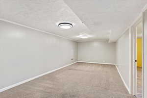 Carpeted empty room with a textured ceiling and crown molding