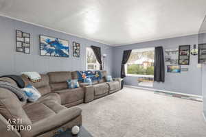 Carpeted living area with a decorative wall and baseboards