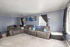 Living room with carpet flooring