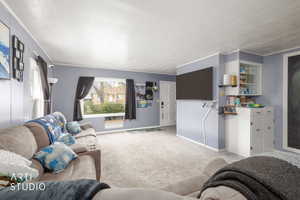 Carpeted living area with crown molding