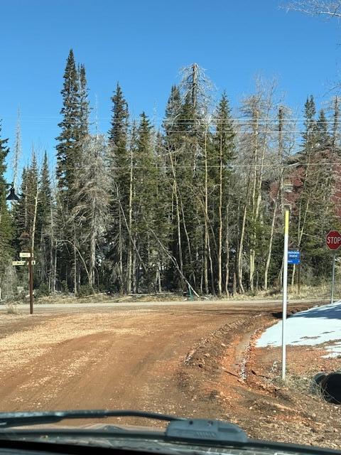 View of dirt / gravel road