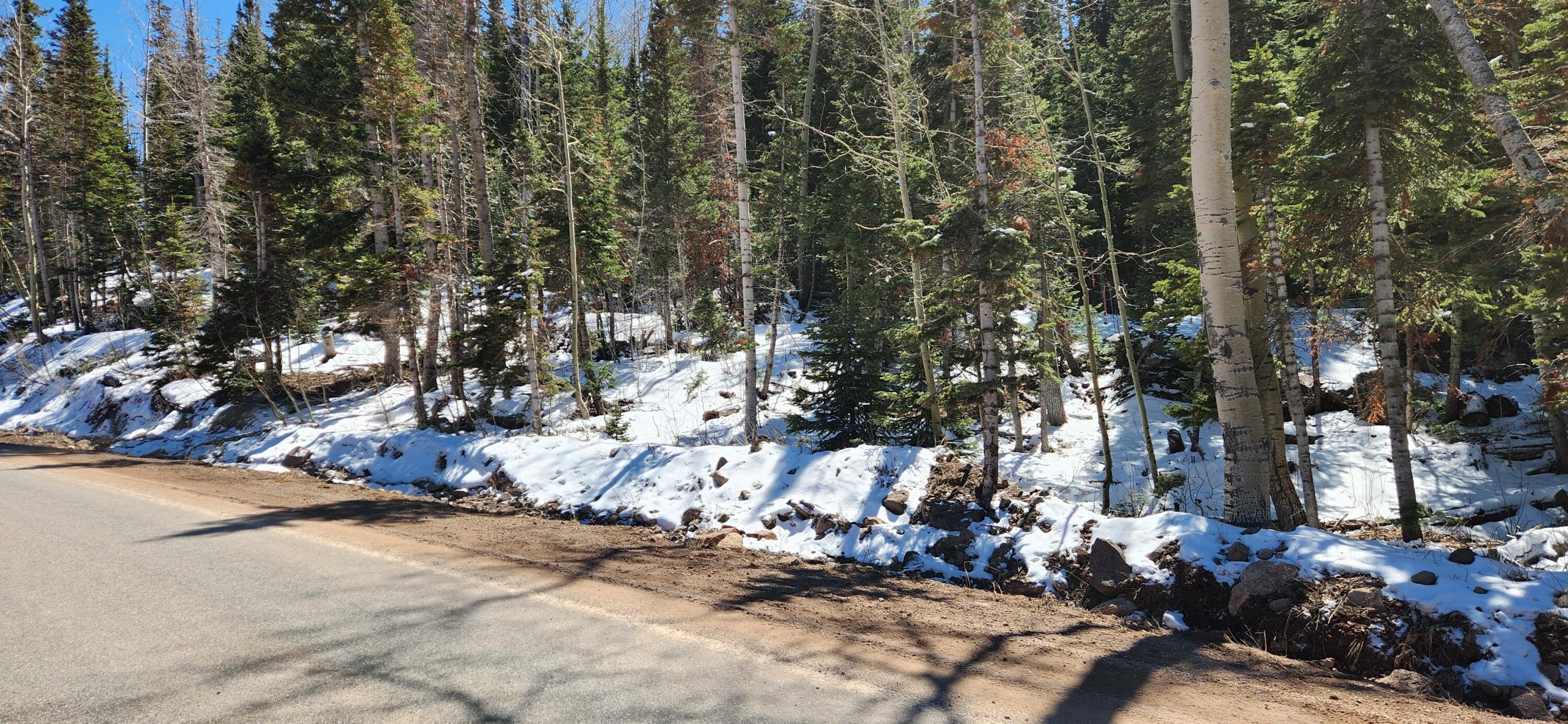 Snowy landscape