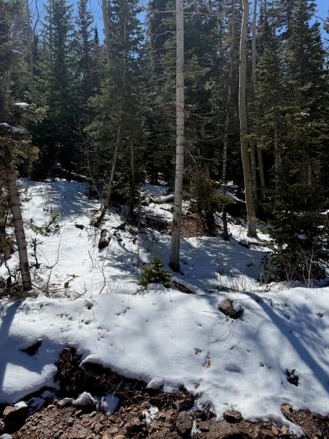 View of snow covered land