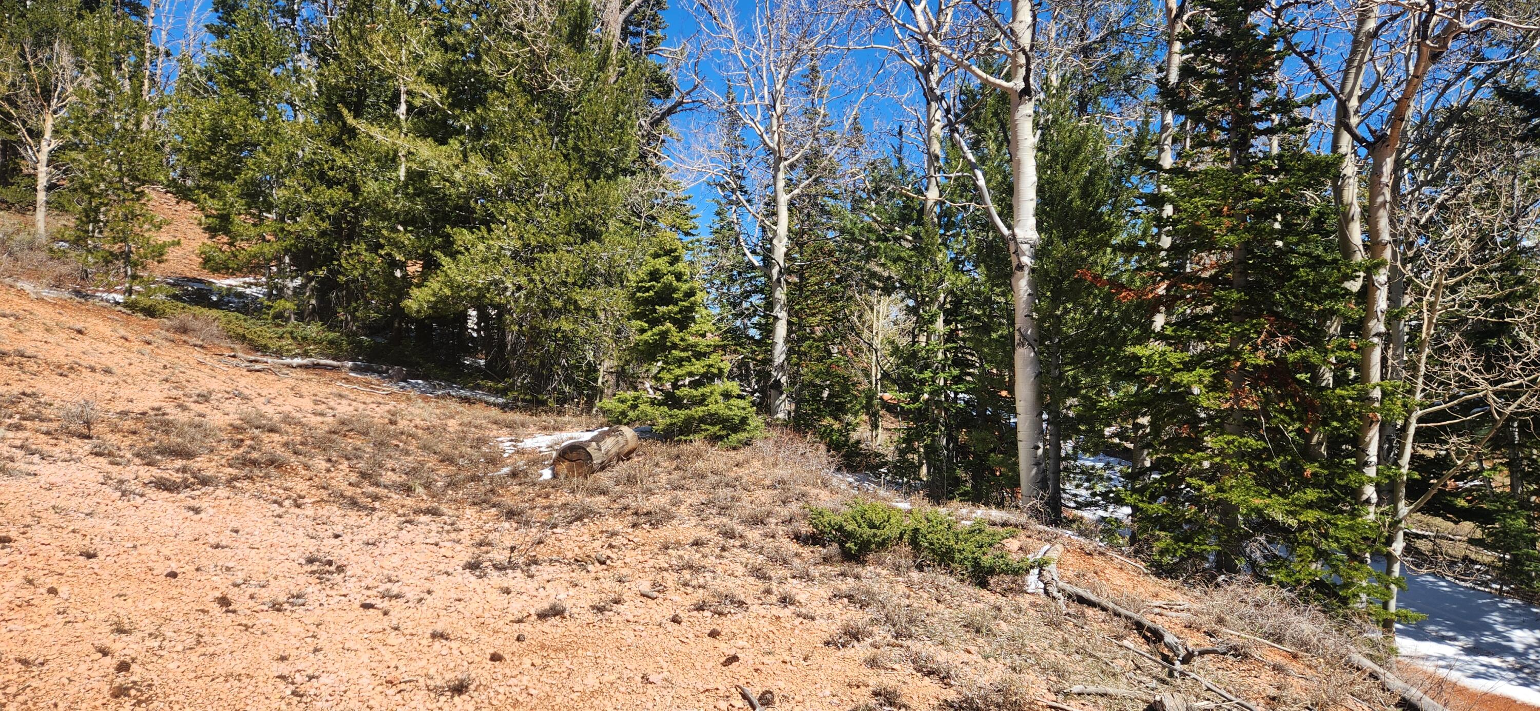 View of undeveloped land