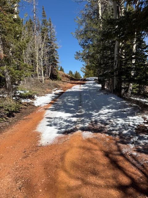 View of dirt / gravel road