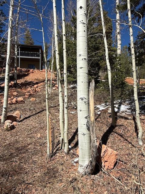 View of nature