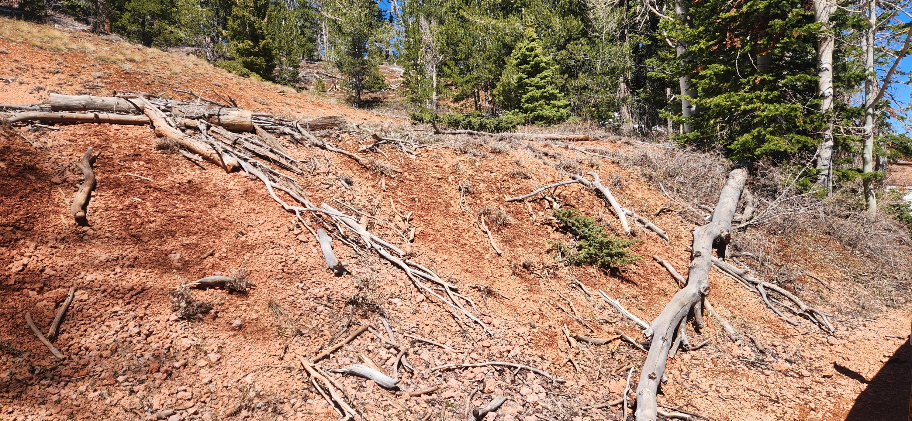 View of undeveloped land
