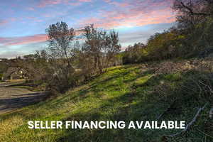 View of local wilderness