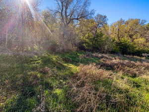View of undeveloped land