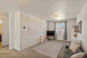 Living room featuring light carpet and baseboards