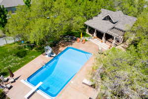 View of swimming pool with a diving board, patio surround, a water slide, and view of scattered trees