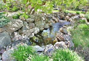 Exterior view of a small pond