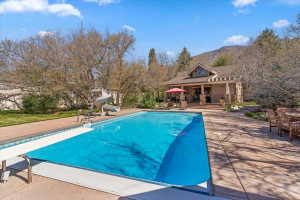 Outdoor pool with a diving board, a patio, a water slide, an outbuilding, and an exterior structure