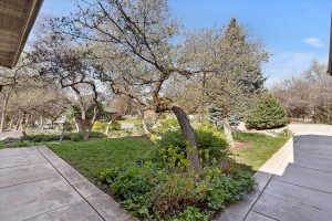 View of green lawn