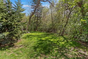 View of green lawn