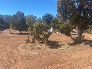 View of yard with a rural view