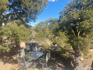 View of yard with outdoor dining space