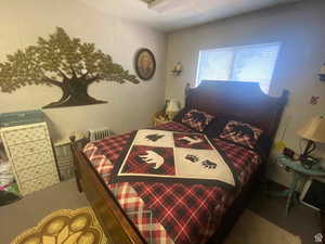 Carpeted bedroom with radiator heating unit