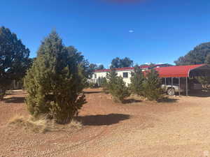 View of yard featuring a carport