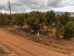 View of undeveloped land
