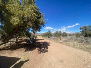 View of dirt / gravel road featuring a view of rural / pastoral area