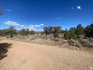 View of dirt / gravel road with a view of countryside